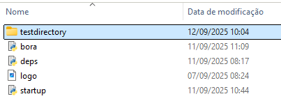 testdirectory does not have to be on the same folder. Start by running bora.py